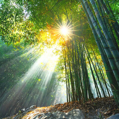 대나무 사이로 밝게 비추는 태양