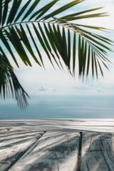 A peaceful scene of a palm tree on a wooden deck. Ideal for travel and relaxation concepts