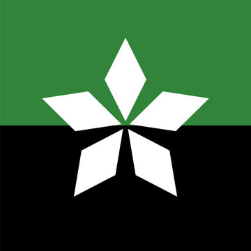 Flag of Soledar
