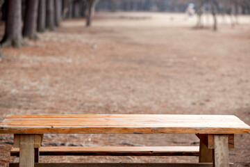 View of the empty bench in the park