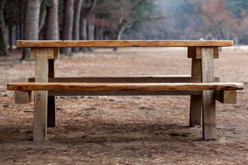 Fototapeta na wymiar View of the empty table-bench in the park