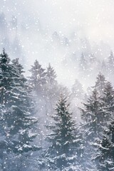 Snow covered pine trees in a winter forest. Perfect for winter themed designs