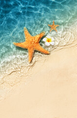 Starfish and flower on the summer beach in sea water. Summer background. - 783271685