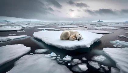 Fotobehang  Antarctica icebergs melting  with polar bear lonely for environment issue concept of climate change effects © NanzXy