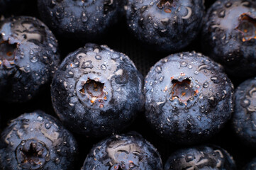 Fresh blueberries with water drops. Close-up of wet blueberries over the whole background