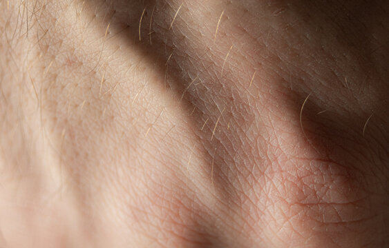 Male Hand Skin Texture Macro Close-up