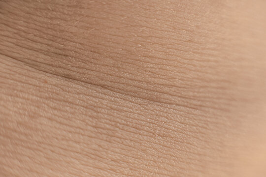 Fold And Texture Of Human Body skin