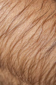Wet Hand Body Hair Close-up