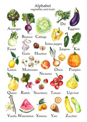 English Alphabet Vegetables watercolor Ink sketch of food on white background. Poster with letters