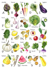 English Alphabet Vegetables watercolor Ink sketch of food on white background. Poster with letters - 783282485