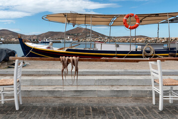 Fresh octopus drying in the sun with fishing boats in the background