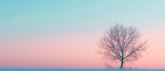 Solitary Tree in Winter Scene at Sunset with Pastel Sky, Copy Space
