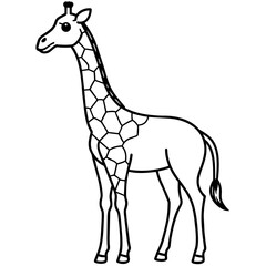 giraffe illustration