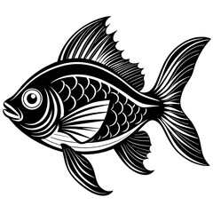 fish on a white background