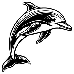 dolphin isolated on white