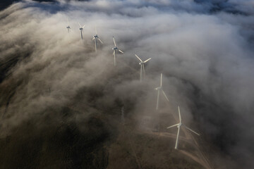 A curvy line of wind turbines and a thin cloud
