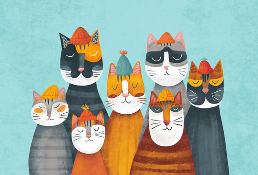 Portraits of different cats in hats