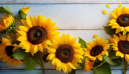 Cure rustic background with beautiful yellow sunflowers on wooden board, autumn fall floral backdrop