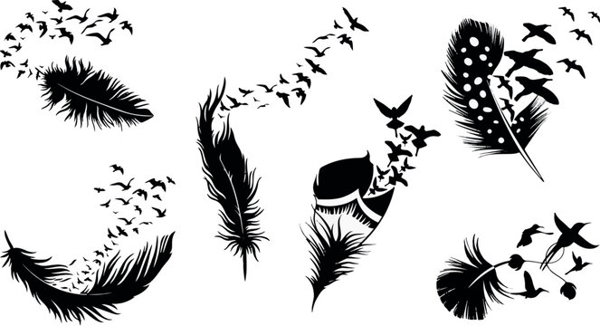 Feather with birds flying away. Flying birds silhouettes. great set collection clip art Silhouette , Black vector illustration on white background .