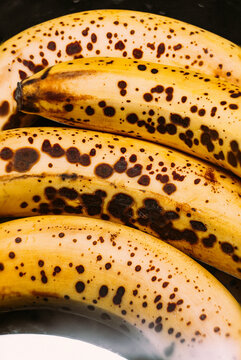 Bananas.