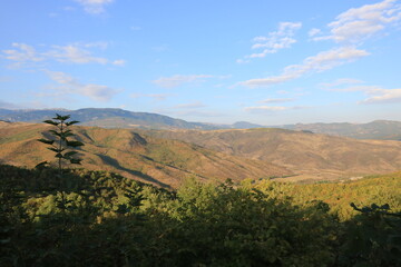 Obraz premium landscape , mountains , trees and blue sky , nature and forest