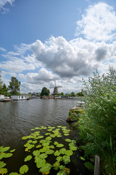 Impressionist Dutch landscape with water lilies & traditional windmill