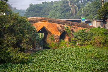 Time-Weathered Bridge over Water Lilies in Sonargaon, Dhaka