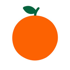 orange fruit illustration