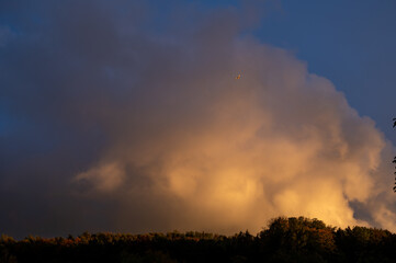 Big cloud in the evening light over green forest - 783300481
