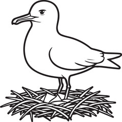 Seagull coloring pages. Seagull outline vector for coloring book