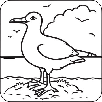 recommend clip art: Seagull coloring pages. Seagull outline vector for coloring book
