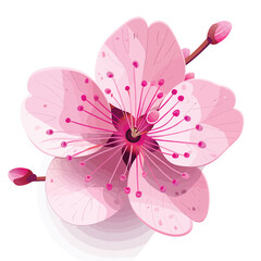 a close up of a pink flower on a white background