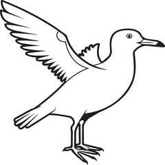 Seagull coloring pages. Seagull outline vector for coloring book