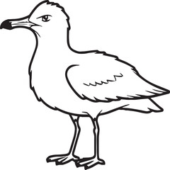 Seagull coloring pages. Seagull outline vector for coloring book