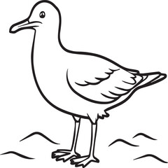 Seagull coloring pages. Seagull outline vector for coloring book