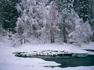 Winter Stream in Snowy Landscape