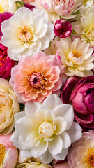 White, cream and pink roses, dahlias, peonies. Spring flowers, top view. Trendy vertical floral background.