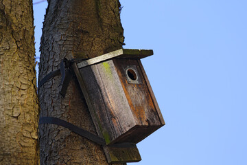 Wooden bird house attached to a tree trunk