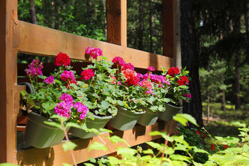 Fototapeta na wymiar Wooden balustrades and flowering geraniums