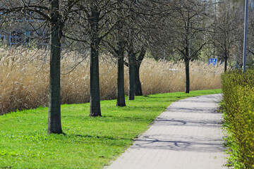 Public park footpath visible in spring