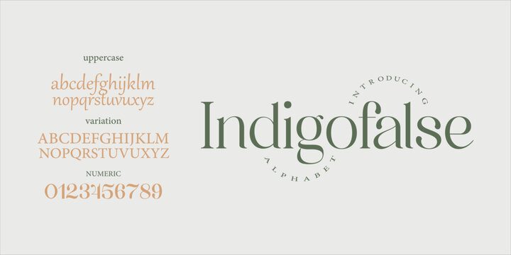 Indigofalse elegant Font Uppercase Lowercase and Number. Classic Lettering Minimal Fashion Designs. Typography modern serif fonts regular decorative vintage concept. vector 