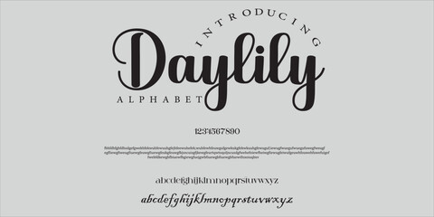 daylilyelegant Font Uppercase Lowercase and Number. Classic Lettering Minimal Fashion Designs. Typography modern serif fonts regular decorative vintage concept. vector .