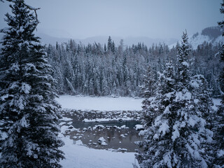 Serene Lake in Winter Snow Forest