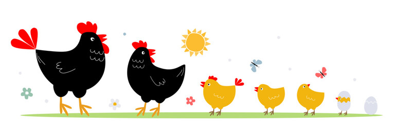 Set of bird family, poultry. Rooster, hen, chicks, eggs together one after another. Vector graphics.