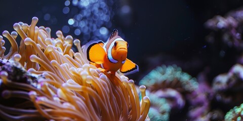 A small orange fish is swimming in front of a large purple flower. The fish is surrounded by the flower's petals, which are in various shades of pink and purple. The scene is peaceful and serene