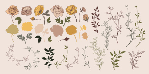 Set of hand drawn botanical elements. Flowers, plants, branches, leaves, blossoms, buds. warm retro colors.