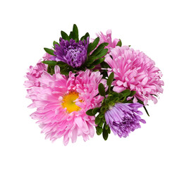 Pink and purple aster flowers in a floral round arrangement isolated on white or transparent background - 783320210