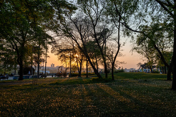 The setting sun over Belgrade is visible through the branches of trees in the park.