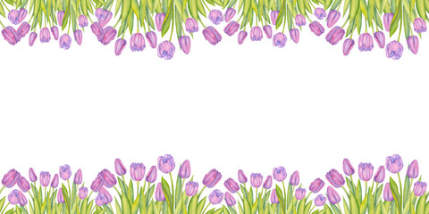 Seamless tulip border, floral frame. Spring flowers. Watercolor illustration. Easter card, wedding invitation, blog decoration. Pink flowers.