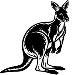 kangaroo-illustration